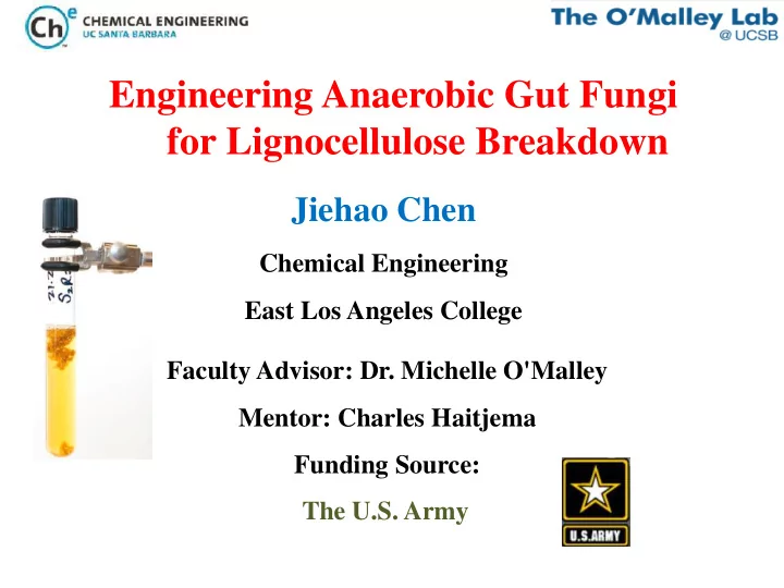 for lignocellulose breakdown