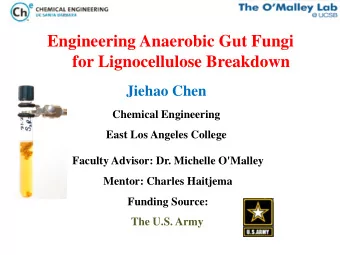 for Lignocellulose Breakdown  Jiehao Chen  Chemical Engineering  East Los Angeles College  Faculty