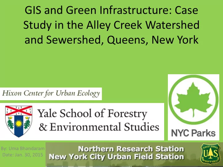 gis and green infrastructure case