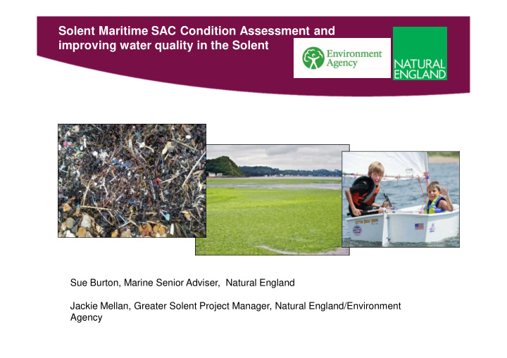 solent maritime sac condition assessment and improving
