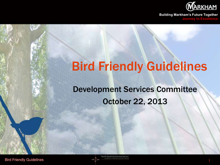 bird friendly guidelines