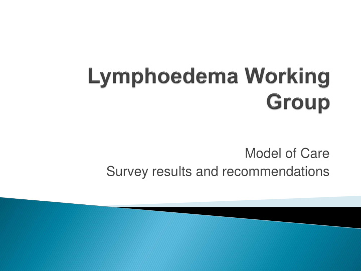 model of care survey results and recommendations