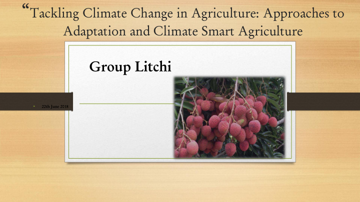 litchi orchard