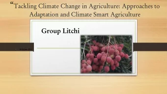 Litchi Orchard  Management at Calebasse  in the North  22th June 2018  Sustainable Development Goal