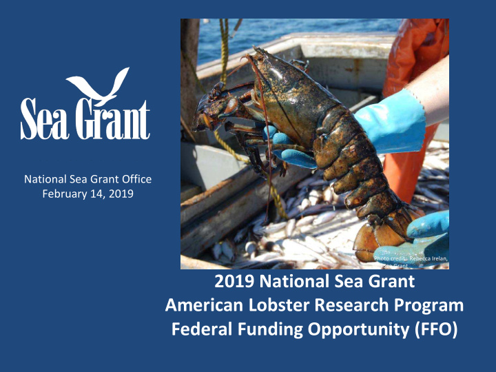 2019 national sea grant american lobster research program
