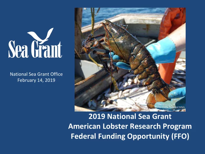 2019 national sea grant american lobster research program