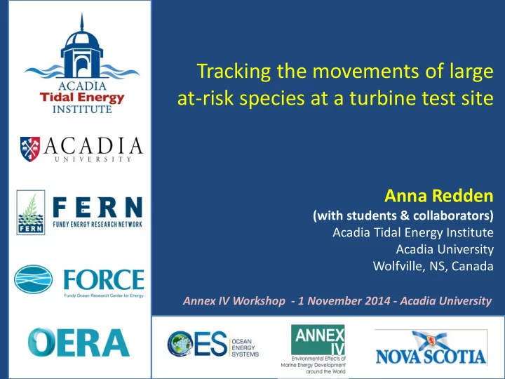 tracking the movements of large at risk species at a