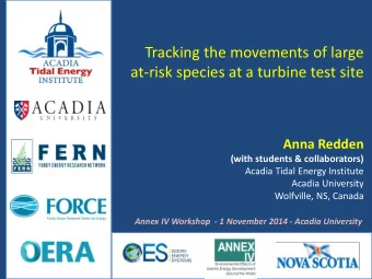 Tracking the movements of large  at-risk species at a turbine test site  Anna Redden (with students