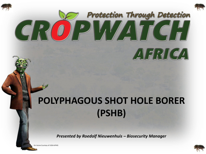 polyphagous shot hole borer pshb