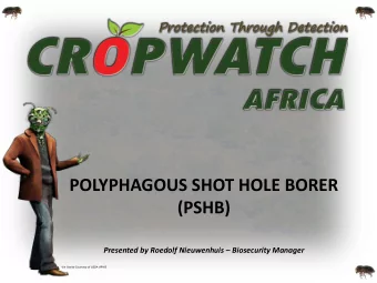 POLYPHAGOUS SHOT HOLE BORER  (PSHB) Presented by Roedolf Nieuwenhuis  Biosecurity Manager  Vin