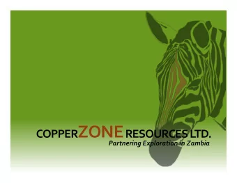 OVERVIEW    The  experienced  executives  &amp;  management  of  CopperZONE