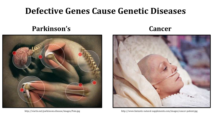 defective genes cause genetic diseases