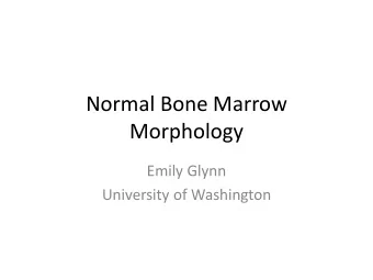 Normal Bone Marrow  Morphology  Emily Glynn  University of Washington  Components of a Bone Marrow