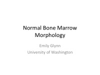 normal bone marrow morphology