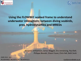 Using the FLOWBEC seabed frame to understand  underwater interactions between diving seabirds,
