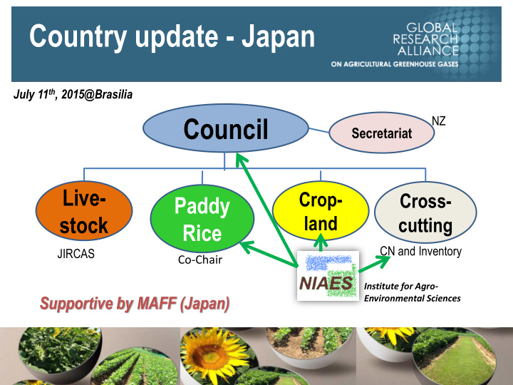 country update japan