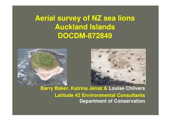 Aerial survey of NZ sea lions  Auckland Islands  DOCDM-872849  Barry Baker, Katrina Jensz &amp;