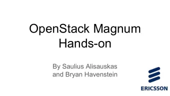 OpenStack Magnum  Hands-on  By Saulius Alisauskas  and Bryan Havenstein  Prerequisites &amp;