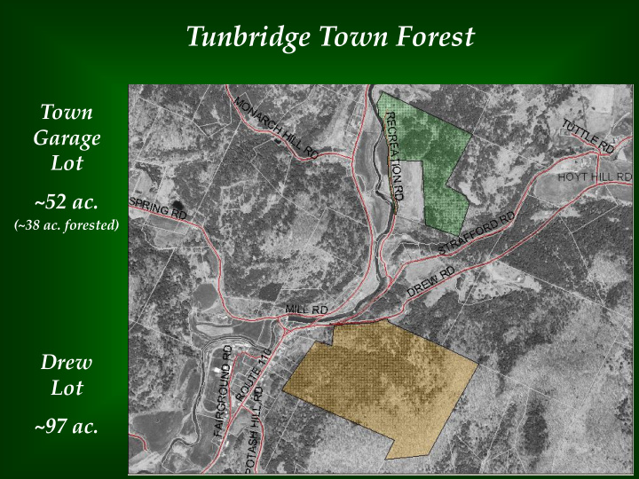tunbridge town forest
