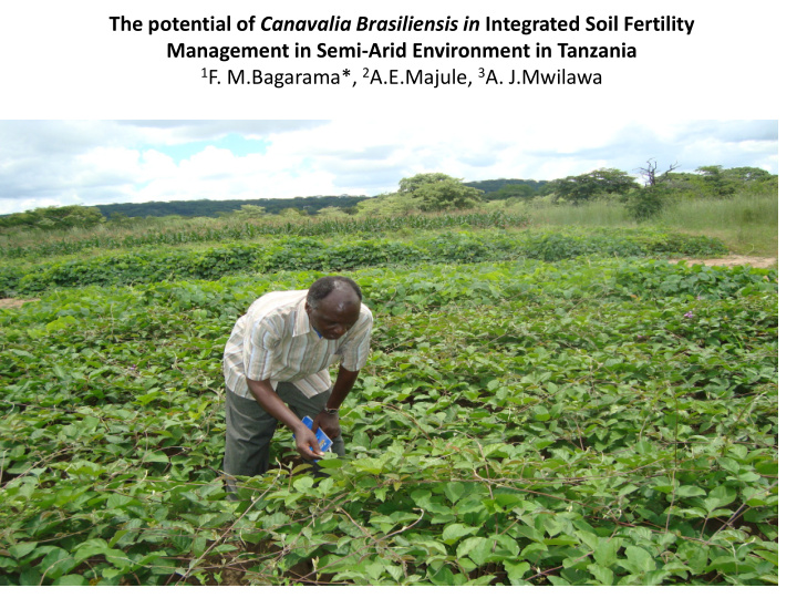 the potential of canavalia brasiliensis in integrated