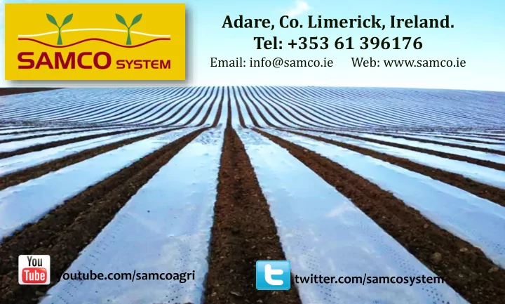 tel 353 61 396176