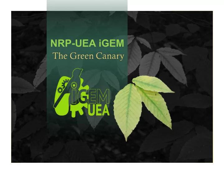 nrp uea igem where meet our team