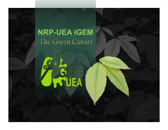 NRP-UEA iGEM  Where?  Meet Our Team  Cara Deal  Alistair Middlemiss  Steven Monsey  Jessica Gray