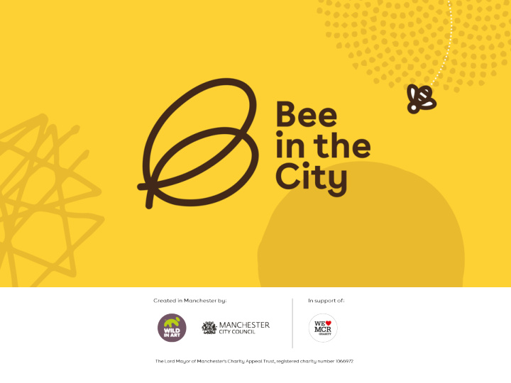 bee in the city learning programme