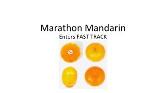 Marathon Mandarin  Enters FAST TRACK  1  Revised FAST TRACK Model  There are no longer any Tiers