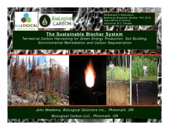 The Sustainable Biochar System  Terrestrial Carbon Harvesting for Green Energy Production, Soil