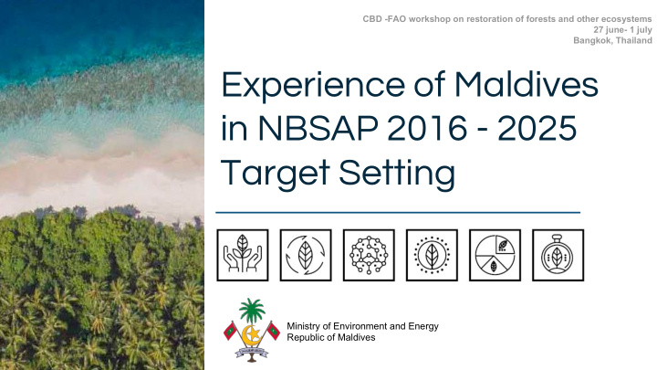 experience of maldives in nbsap 2016 2025 target setting