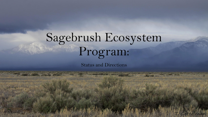 sagebrush ecosystem