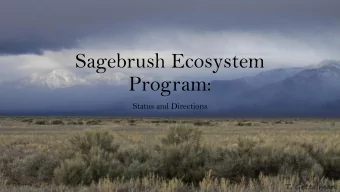Sagebrush Ecosystem  Program:  Status and Directions  Debit Status:  Debit Project  Direct Impact