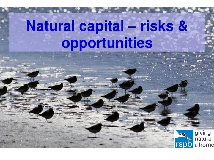 natural capital risks opportunities talk outline