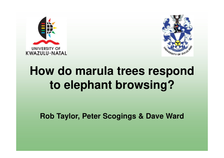 how do marula trees respond to elephant browsing