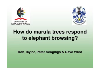 How do marula trees respond  to elephant browsing?  Rob Taylor, Peter Scogings &amp; Dave Ward