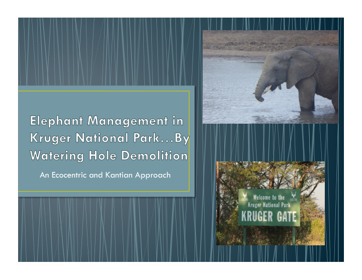 an ecocentric and kantian approach elephants have wildly