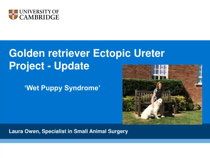 golden retriever ectopic ureter project update