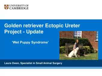 Golden retriever Ectopic Ureter  Project - Update  Wet Puppy Syndrome  Laura Owen, Specialist