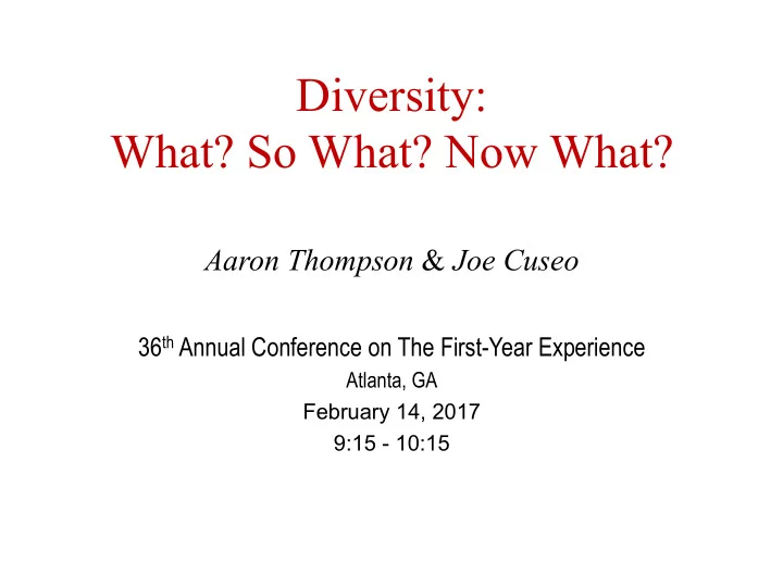 diversity what so what now what