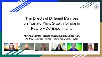 The Effects of Different Matrices  on Tomato Plant Growth for use in  Future VOC Experiments