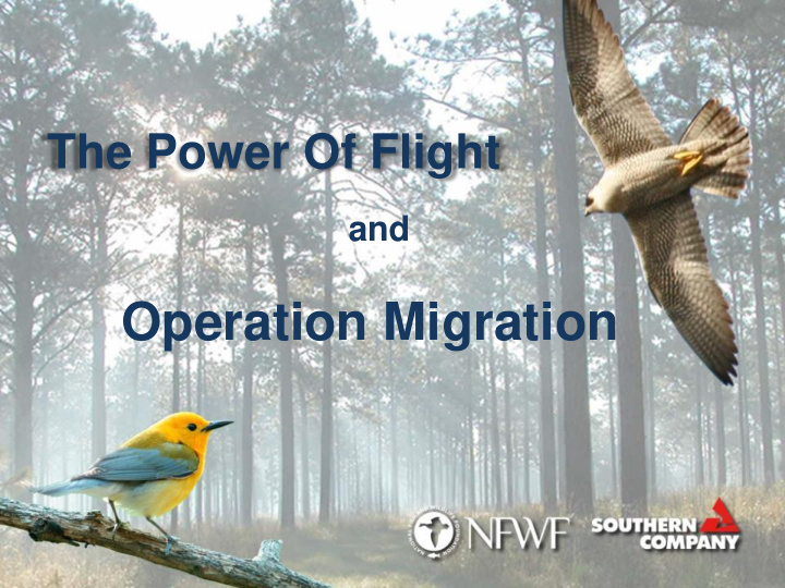 operation migration partnership