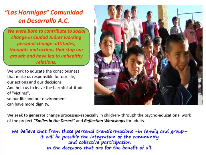 las hormigas comunidad