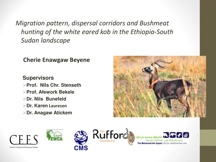 migration pattern dispersal corridors and bushmeat