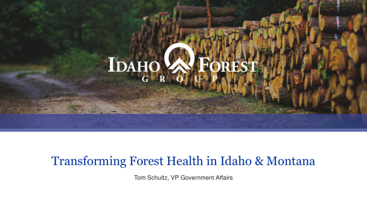 transforming forest health in idaho amp montana