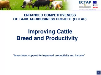 Improving Cattle Breed and Productivity Investment support for improved productivity and