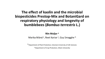 The effect of kaolin and the microbial  biopesticides Prestop-Mix and BotaniGard on  respiratory
