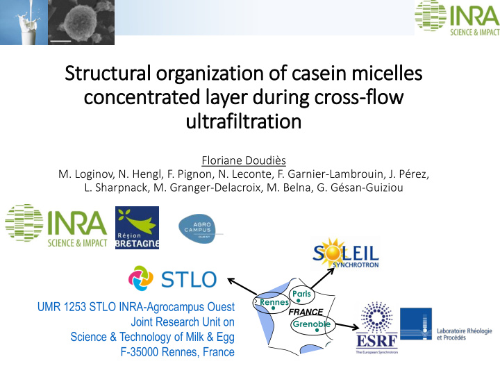 structural organization of casein mic icelle les