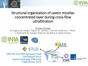 Structural organization of casein mic  icelle  les  concentrated la  layer durin  ing cross-flow