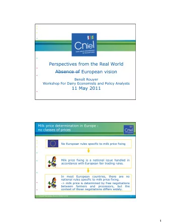 Perspectives from the Real World  Absence of European vision  Benot Rouyer  Workshop For Dairy